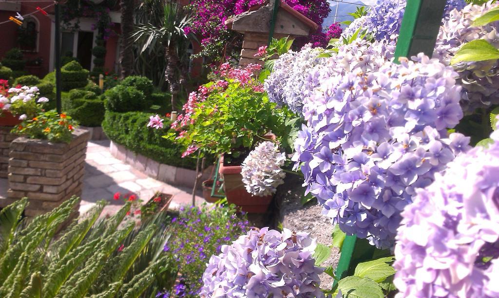 קוטור Apartment City Garden חדר תמונה